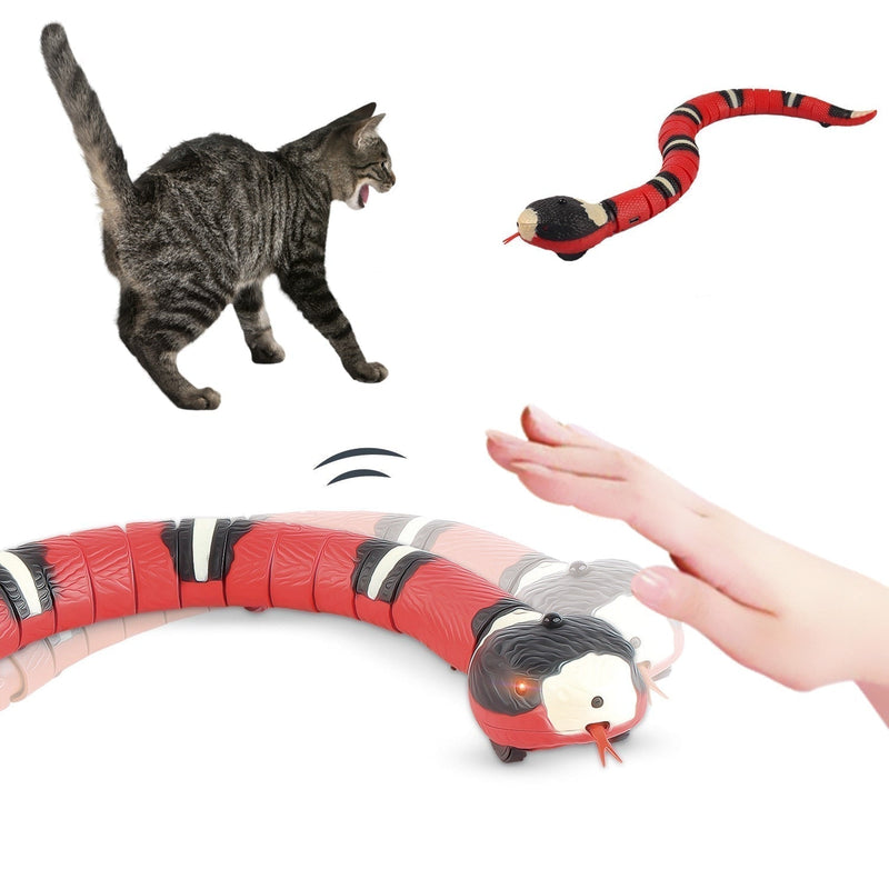 Brinquedo de Cobra Para Gato