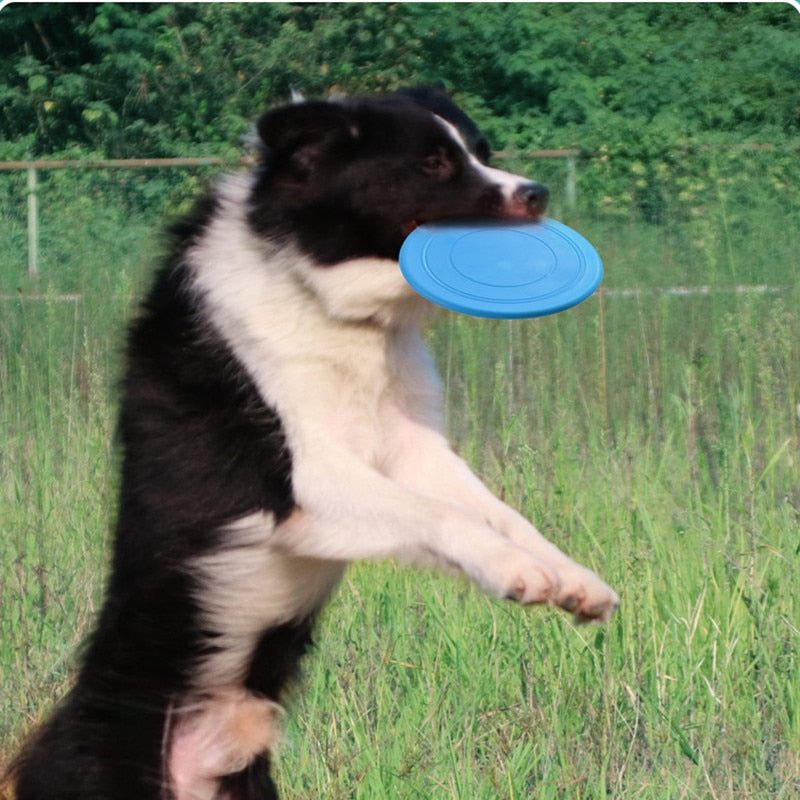Brinquedo Disco Voador para Cães